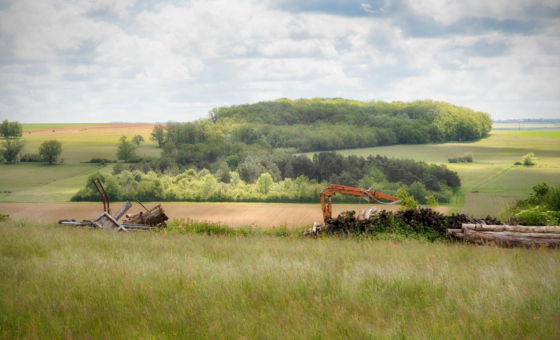 Gite De Charme, Grand Confort Marolles-sous-Lignieres エクステリア 写真